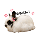 ひぃちゃんず（個別スタンプ：4）