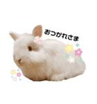ひぃちゃんず（個別スタンプ：6）