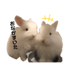 ひぃちゃんず（個別スタンプ：8）