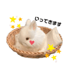 ひぃちゃんず（個別スタンプ：9）