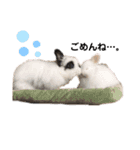 ひぃちゃんず（個別スタンプ：22）