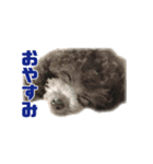オレオくん vol.1（個別スタンプ：3）