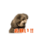 オレオくん vol.1（個別スタンプ：4）
