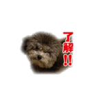オレオくん vol.1（個別スタンプ：5）