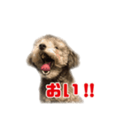 オレオくん vol.1（個別スタンプ：6）