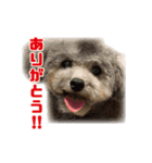 オレオくん vol.1（個別スタンプ：7）