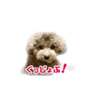 オレオくん vol.1（個別スタンプ：11）