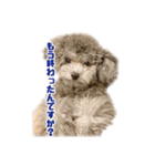オレオくん vol.1（個別スタンプ：12）