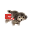 オレオくん vol.1（個別スタンプ：15）