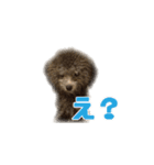 オレオくん vol.1（個別スタンプ：16）