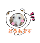 2020ななこ（個別スタンプ：4）