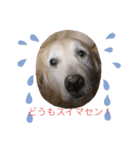 2020ななこ（個別スタンプ：5）