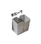 あずきすたんぷ ②（個別スタンプ：9）