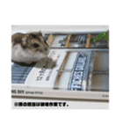 あずきすたんぷ ②（個別スタンプ：15）
