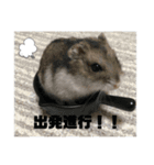 あずきすたんぷ ②（個別スタンプ：16）