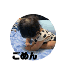 りんまるのすたんぷ（個別スタンプ：10）