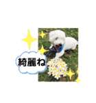 ごさまるスタンプ♡（個別スタンプ：39）