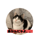 山口家のアニマルズちおちゃん編（個別スタンプ：4）