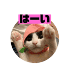 山口家のアニマルズちおちゃん編（個別スタンプ：14）