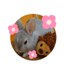 うさぎのみなと（個別スタンプ：3）