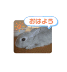 うさぎのみなと（個別スタンプ：4）