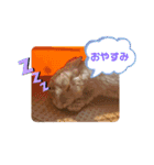 うさぎのみなと（個別スタンプ：9）