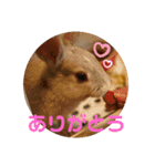 うさぎのみなと（個別スタンプ：12）