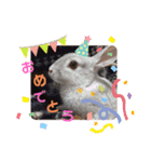 うさぎのみなと（個別スタンプ：13）