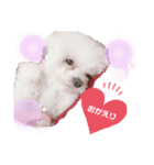 Nemu2（個別スタンプ：6）