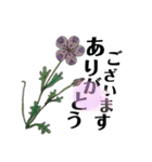 母の花（個別スタンプ：3）