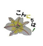 母の花（個別スタンプ：4）
