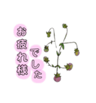 母の花（個別スタンプ：7）