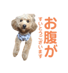 ここさんこれくしょん（個別スタンプ：3）