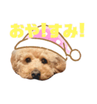 ここさんこれくしょん（個別スタンプ：5）