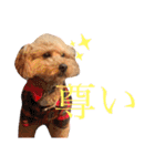 ここさんこれくしょん（個別スタンプ：16）