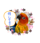 Koganemekishiko（個別スタンプ：8）