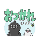 カラス丸＆ハー子（個別スタンプ：11）