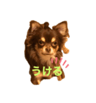 チル君（個別スタンプ：2）