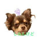 チル君（個別スタンプ：4）