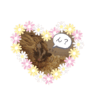 フクモモ風子の日常ฅ•ﻌ•ฅ①（個別スタンプ：3）