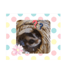 フクモモ風子の日常ฅ•ﻌ•ฅ①（個別スタンプ：4）