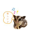 フクモモ風子の日常ฅ•ﻌ•ฅ①（個別スタンプ：15）