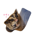フクモモ風子の日常ฅ•ﻌ•ฅ①（個別スタンプ：16）