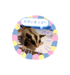 フクモモ風子の日常ฅ•ﻌ•ฅ①（個別スタンプ：17）