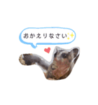 フクモモ風子の日常ฅ•ﻌ•ฅ①（個別スタンプ：18）