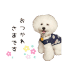 トイプードルのラテ王子（個別スタンプ：9）