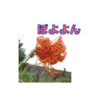 街中の植物（個別スタンプ：3）