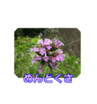街中の植物（個別スタンプ：8）