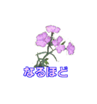 街中の植物（個別スタンプ：24）