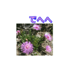 街中の植物（個別スタンプ：32）